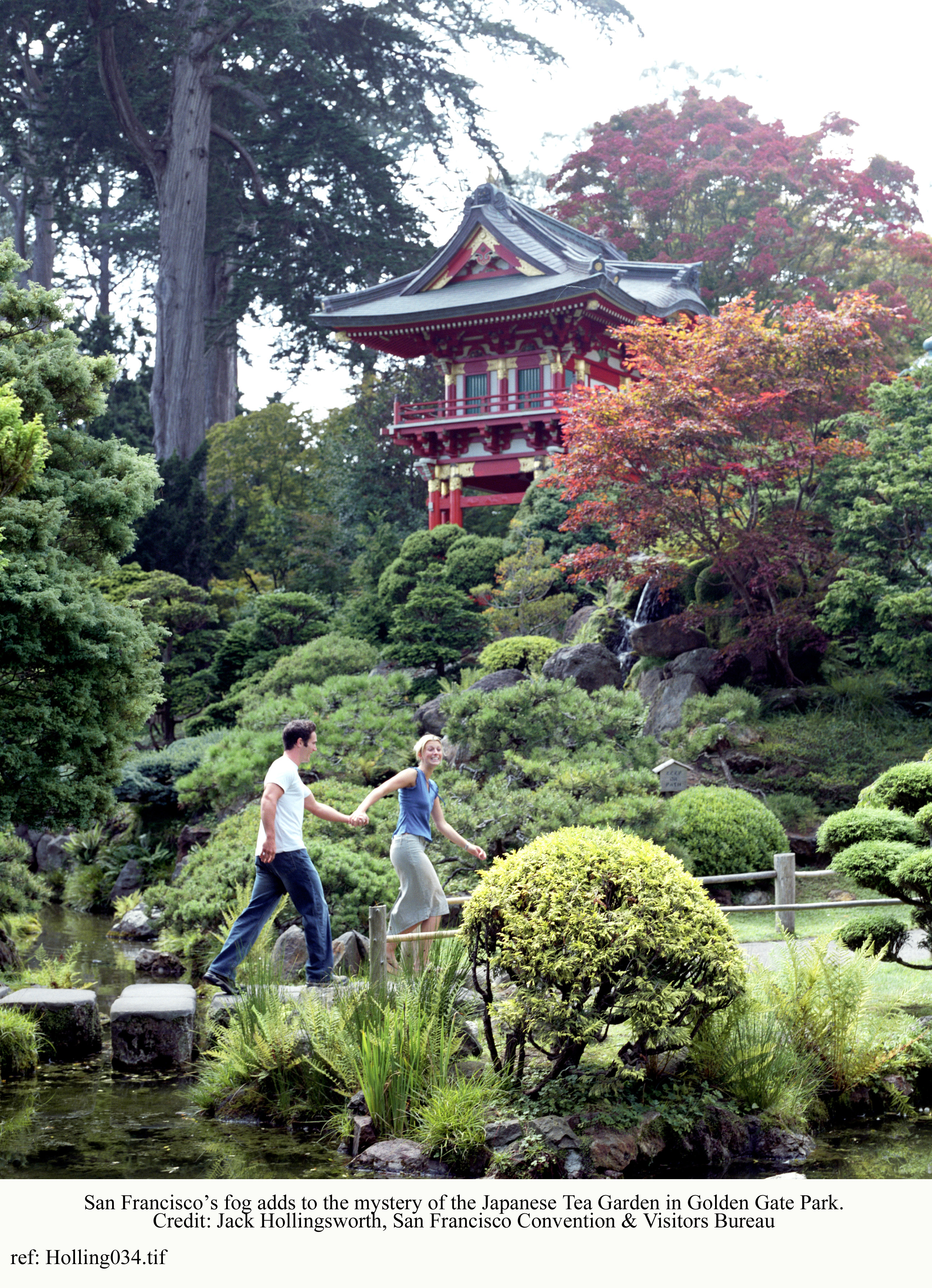 stadspark | San Francisco